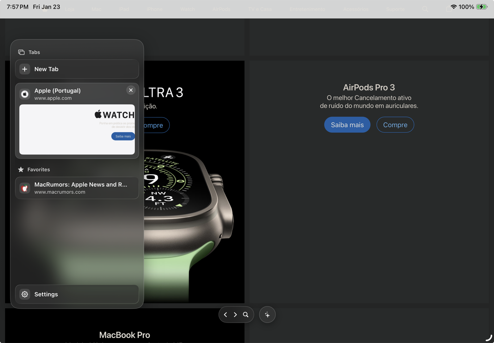 The Vortex Browser tabs and favorites sidebar on iPad.